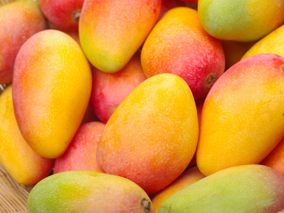 Mango RVM Global Exports