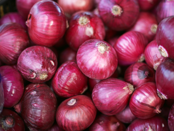 Onion RVM Global Exports